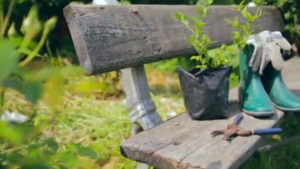 Stillleben mit Gartengeräten und Kleidung — Stockvideo