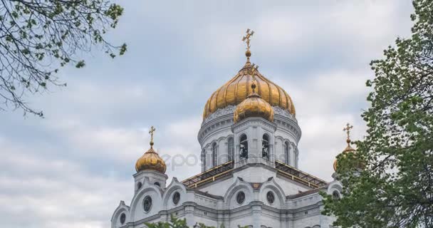 Kristus Frälsarens katedral — Stockvideo