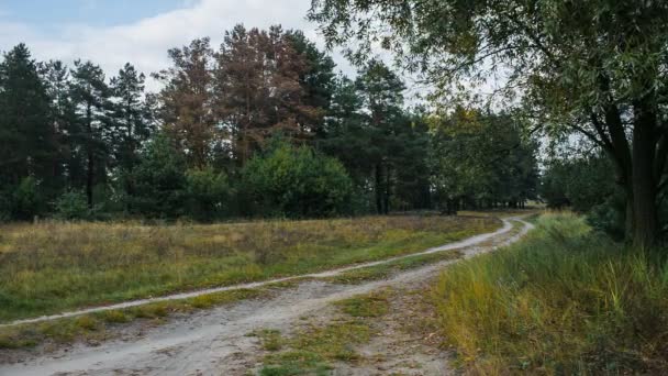 Paisaje otoño temprano — Vídeos de Stock