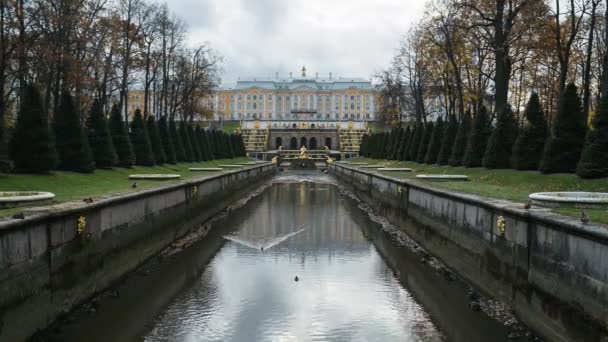 Palác Peterhof bez vody — Stock video