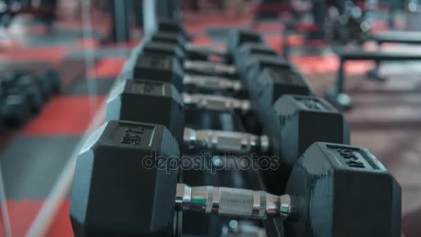 Hantlar i gymmet — Stockvideo