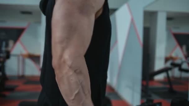 Biceps trening z hantlami. Pętla — Wideo stockowe