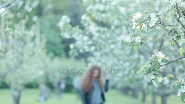 Chica pelirroja joven en flores de primavera — Vídeo de stock