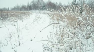 Kış manzarası içinde tafsilât