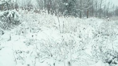 Kış manzarası içinde tafsilât