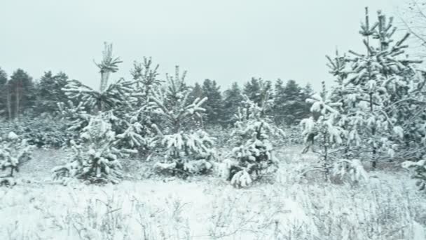 Зимний пейзаж в деталях — стоковое видео