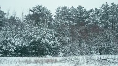 Kış manzarası içinde tafsilât