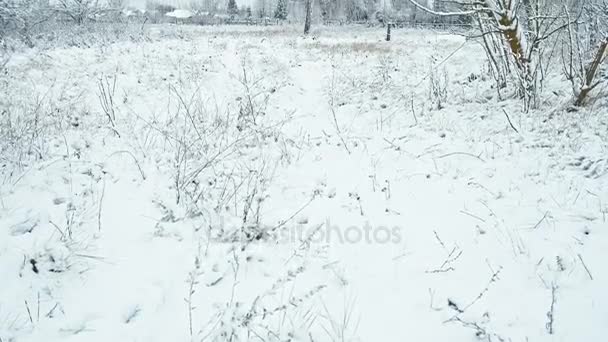 フィールドは 地平線上の村の家で雪で覆われています 垂直方向のパン — ストック動画