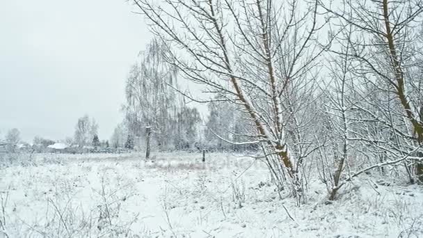 Champ Couvert Neige Avec Maisons Village Horizon — Video