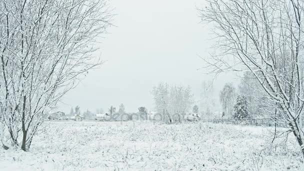 地平線上の村の家を雪で覆われた野原 — ストック動画