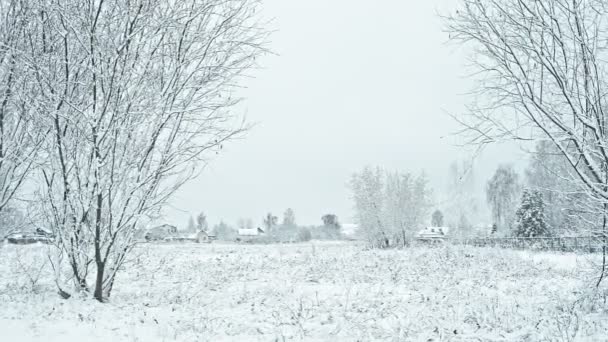 フィールドは 地平線上の村の家で雪で覆われています 水平方向のパン — ストック動画