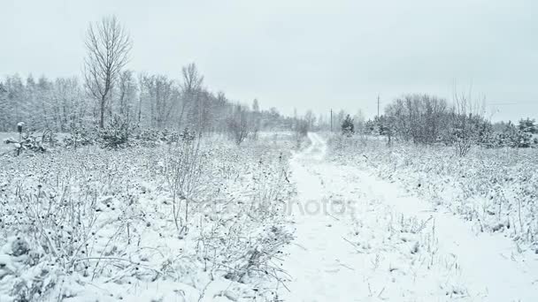 雪路到森林 水平平移 — 图库视频影像