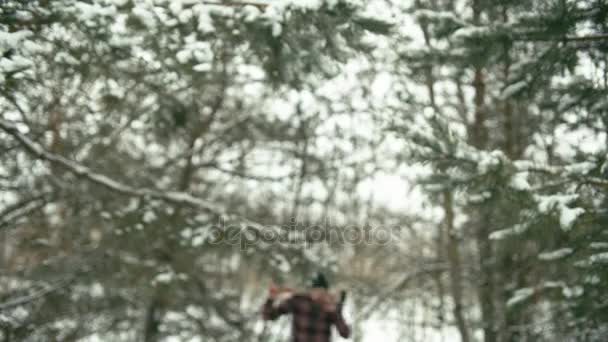 Hombre barbudo atravesando el bosque — Vídeos de Stock