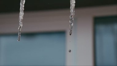 Tarih Pzr eriyen buz sarkıtları