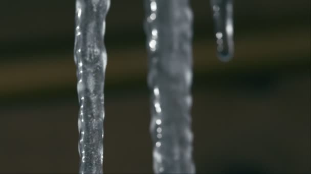 Smeltende ijspegels op zon — Stockvideo