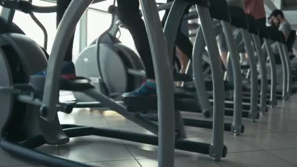 Pernas em máquinas de cardio — Vídeo de Stock