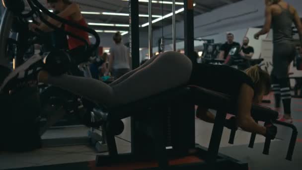 Femme sur la machine de boucle de jambe — Video