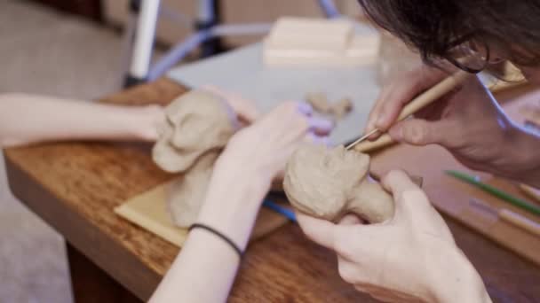 Two Young Artists Sculpting Using Plasticine Non Drying Clay — 图库视频影像