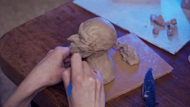 Young Artist Sculpting Bust Woman Plasticine Non Drying Clay — Stock Video