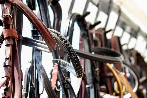 At bridles ekran rafta, yakın çekim