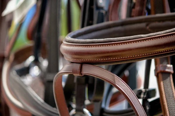 Close up de bridles de cavalo no rack de exibição — Fotografia de Stock