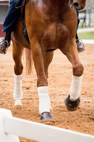 Close up of horse legs in the arena — Stock Photo, Image