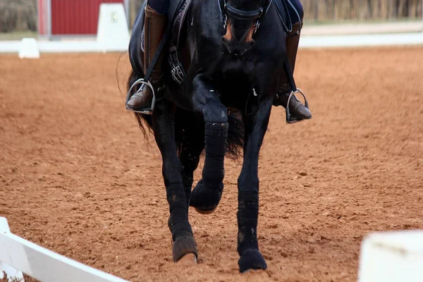 Spor binicisi at bacakları yakın. — Stok fotoğraf
