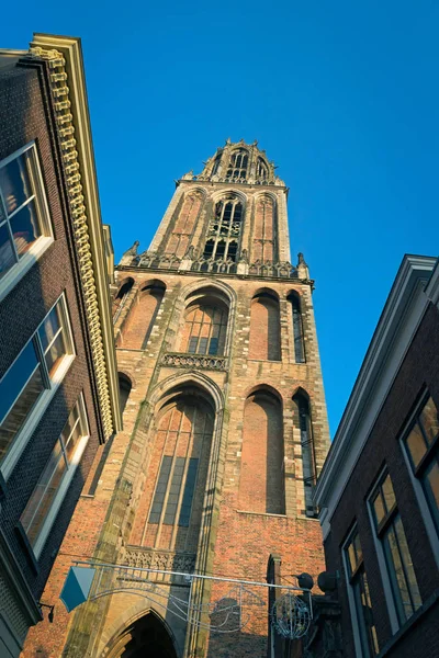 Saint Martins katedralde Utrecht Domtower görünüm