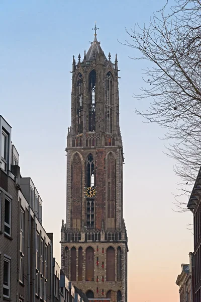 Saint Martins katedralde Utrecht Domtower görünüm