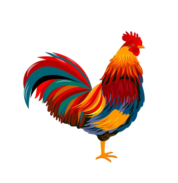 Colorido hermoso gallo — Archivo Imágenes Vectoriales