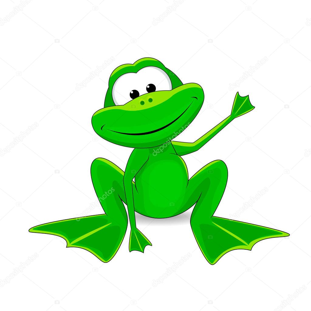 Little green frog   