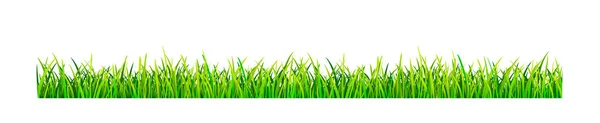 Banner gramado gramado gramado — Vetor de Stock