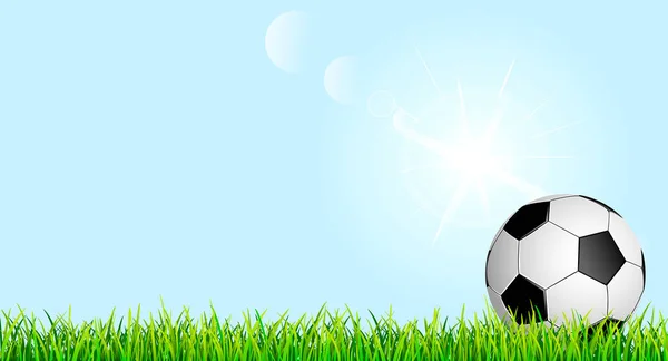 Voetbal op een groen gras gazon — Stockvector