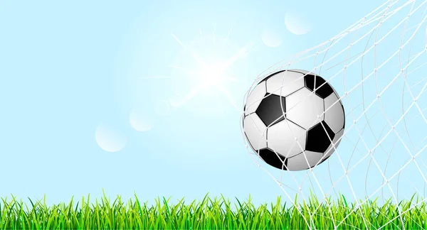 Soccer ball on a green grass lawn 1 — Stock Vector