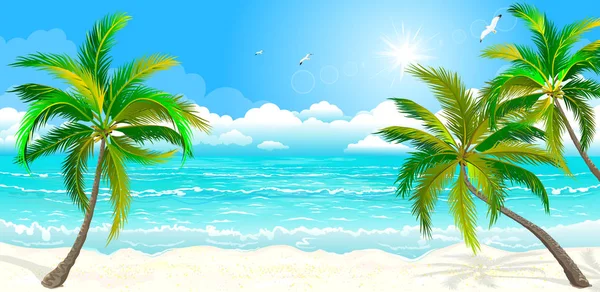 Tropical beach with palm trees — Stock Vector