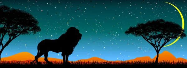 Leão no fundo do céu estrelado da noite — Vetor de Stock