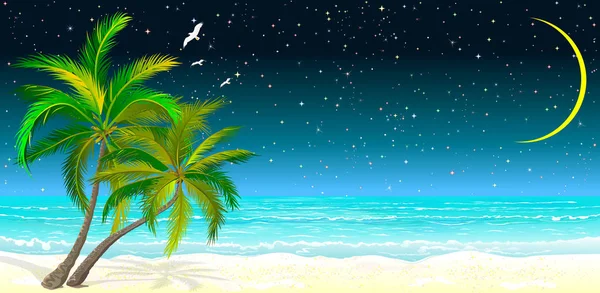 Tropical beach with palm trees at night — Stock Vector