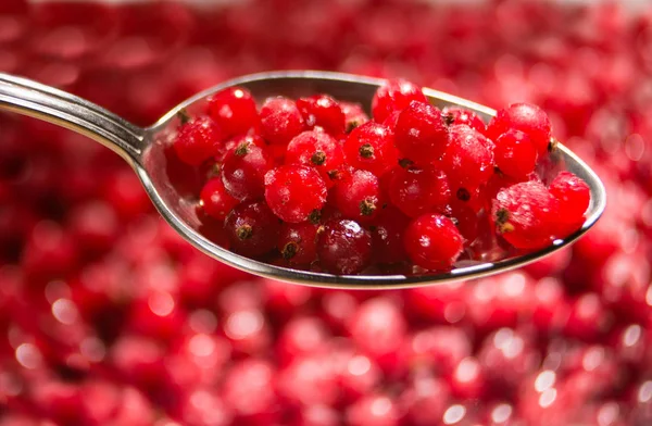 Bayas grosellas rojas en cuchara . — Foto de Stock