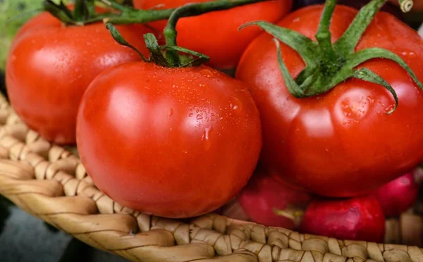Tomates grandes e suculentos em uma cesta de vime, grandes gotas . Fotos De Bancos De Imagens