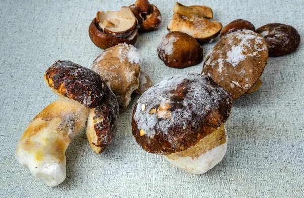 Заморожені дикі гриби на кухонному столі . — стокове фото