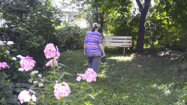 Una mujer camina a través de un pequeño prado a un banco a la sombra de los árboles. Verano, día caluroso . — Vídeos de Stock