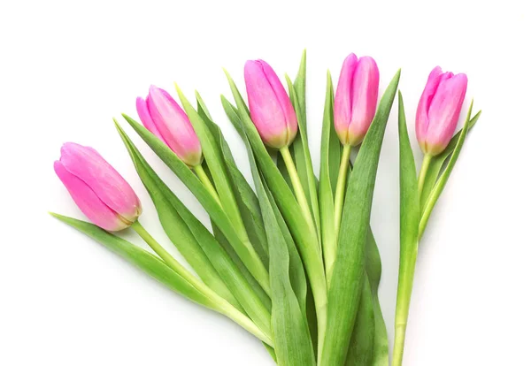 Krásné tulipány na bílém pozadí — Stock fotografie