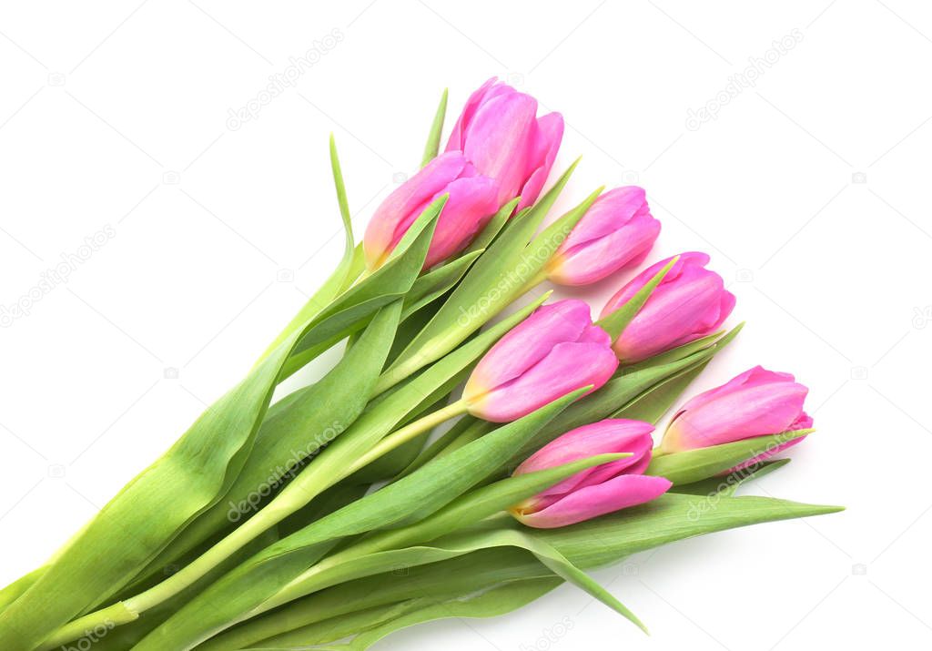 Bouquet of beautiful tulips on white background
