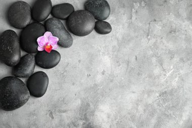 Spa taşlar ve gri dokulu arka plan, üstten görünüm üzerinde güzel çiçek