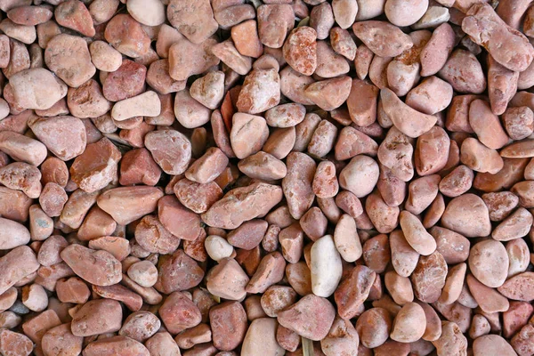 Many small pebbles as background — Stock Photo, Image