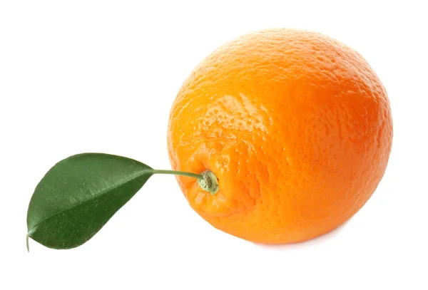 Savoureux orange mûr sur fond blanc — Photo