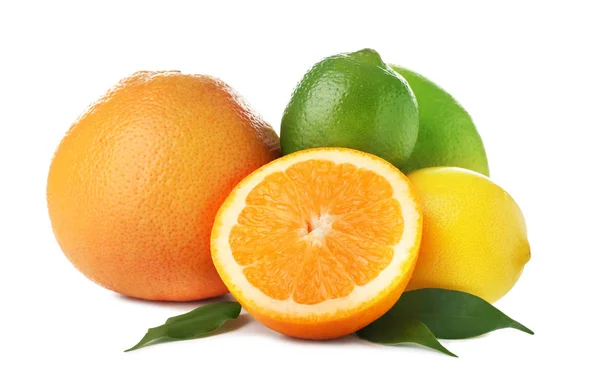 Ripe citrus fruits on white background — Stock Photo, Image