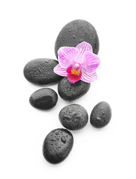 Spa stones with drops of water and beautiful flower on white background, top view — Stock Photo, Image