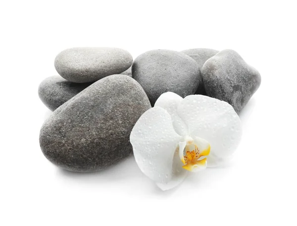 Spa stones and beautiful orchid flower on white background — Stock Photo, Image