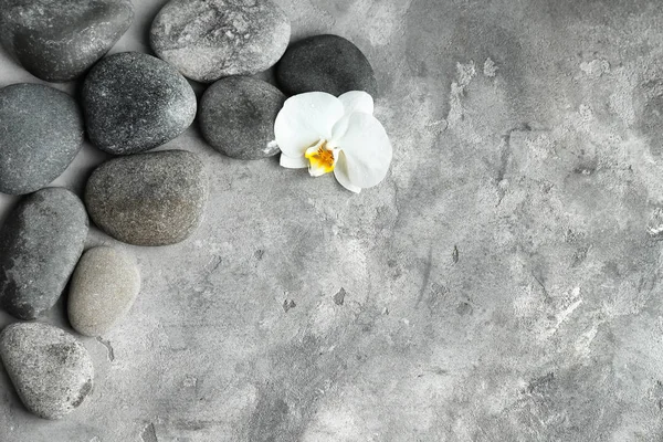 Pedras de spa e bela flor em fundo cinza texturizado, vista superior — Fotografia de Stock